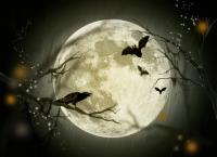 Halloween Full Moon