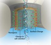 DNA Sequencing Through a Nanopore