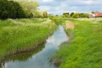 Stream-Through-Grass-in-the-Countryside