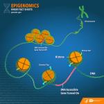 Epigenomics from NHGRI