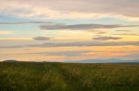 Grassy Landscape at Sunset