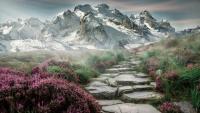 Path-in-the-Mountains