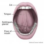 Mouth and Tongue