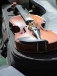 Violin-1