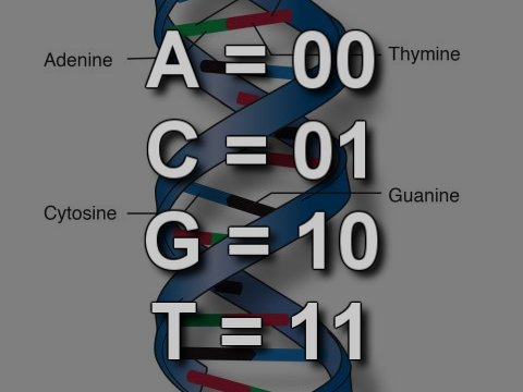 DNA with Base Encoding Scheme